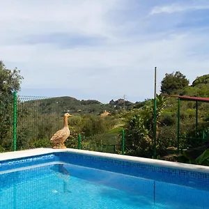 Live Finca El Gamonal Bajo Con Piscina Y Jardin En La Naturaleza Santa Brígida